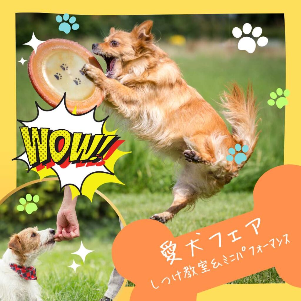 愛犬フェア(しつけ教室・ドッグパフォーマンス)